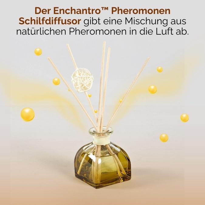 Enchantro™ Pheromonen Schilfdiffusor