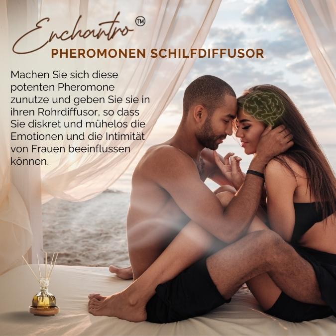 Enchantro™ Pheromonen Schilfdiffusor