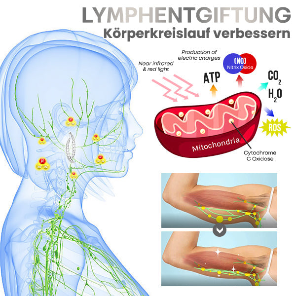 Liascy™ Lymphatech Gemslim CurvedCross Ohrringe